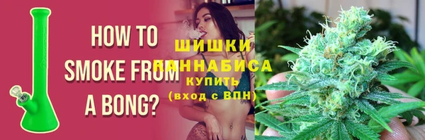 ПСИЛОЦИБИНОВЫЕ ГРИБЫ Абаза