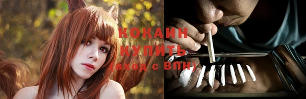 ПСИЛОЦИБИНОВЫЕ ГРИБЫ Абаза