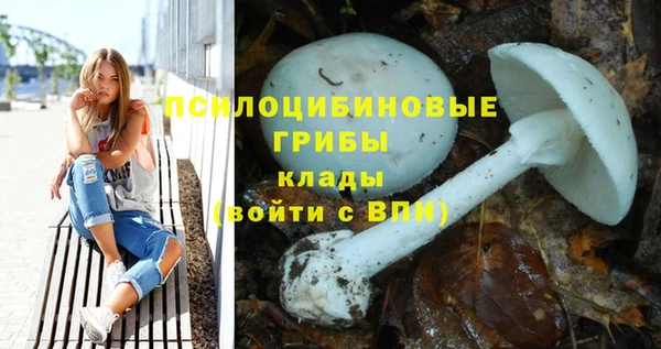 ПСИЛОЦИБИНОВЫЕ ГРИБЫ Абаза
