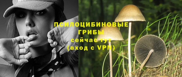 ПСИЛОЦИБИНОВЫЕ ГРИБЫ Абаза